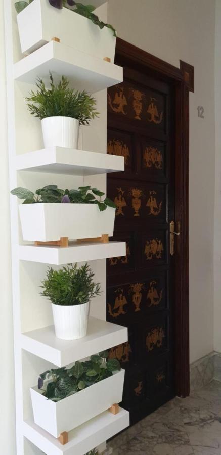 Residencia Viriato Sevilla